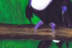 Derwent Inktense detail drawing of Toucan on Fabriano Artistico 600gsm