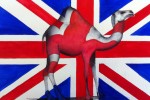 Watercolour painting of a camel overlayed with Union Jack by David Lewry